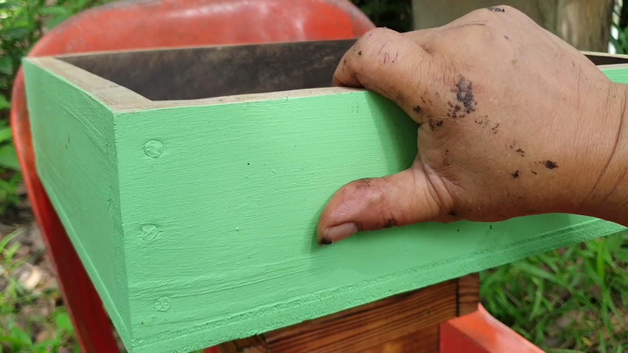 Percubaan split/bahagi koloni, telur kelulut naik dalam kotak madu