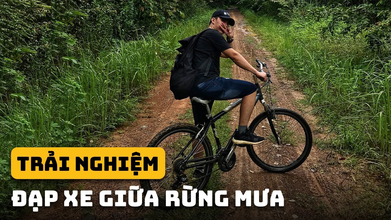 kinh nghiệm đi rừng cúc phương 2022 Update Chill cuối tuần ở rừng Nam Cát Tiên | Đồng Nai Có Gì