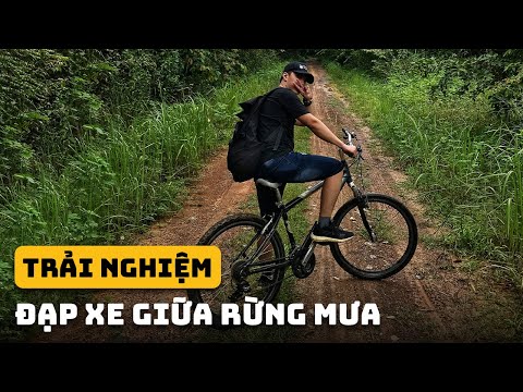 Video: Năm Cấp Tiến