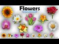 Flowers Name | Learn Flowers Name in English | Flowers Name Basic English Learning [Unit # 07]