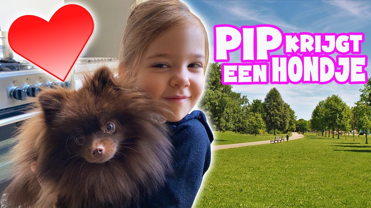 fles Handel kast PIP HEEFT EEN OPPAS HONDJE ! - YouTube