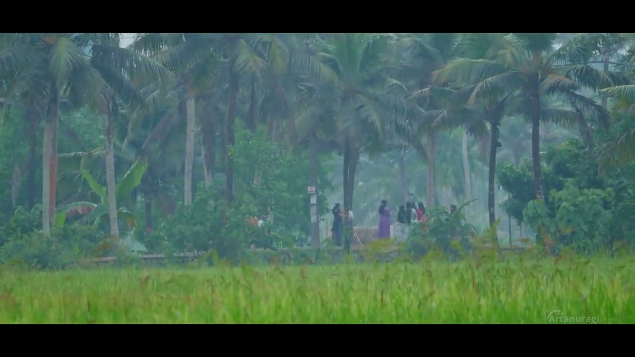 മണ്ണടി |  Peaceful Evening at kerala Paddy