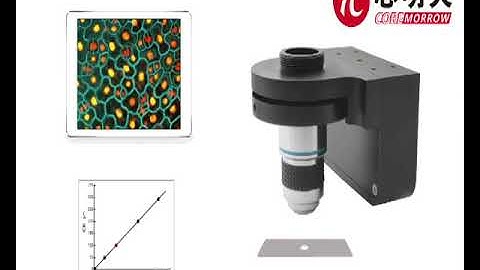 Piezo objective scanner