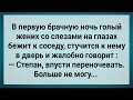 В Первую Брачную Ночь Жених Сбежал! Сборник Свежих Анекдотов! Юмор!