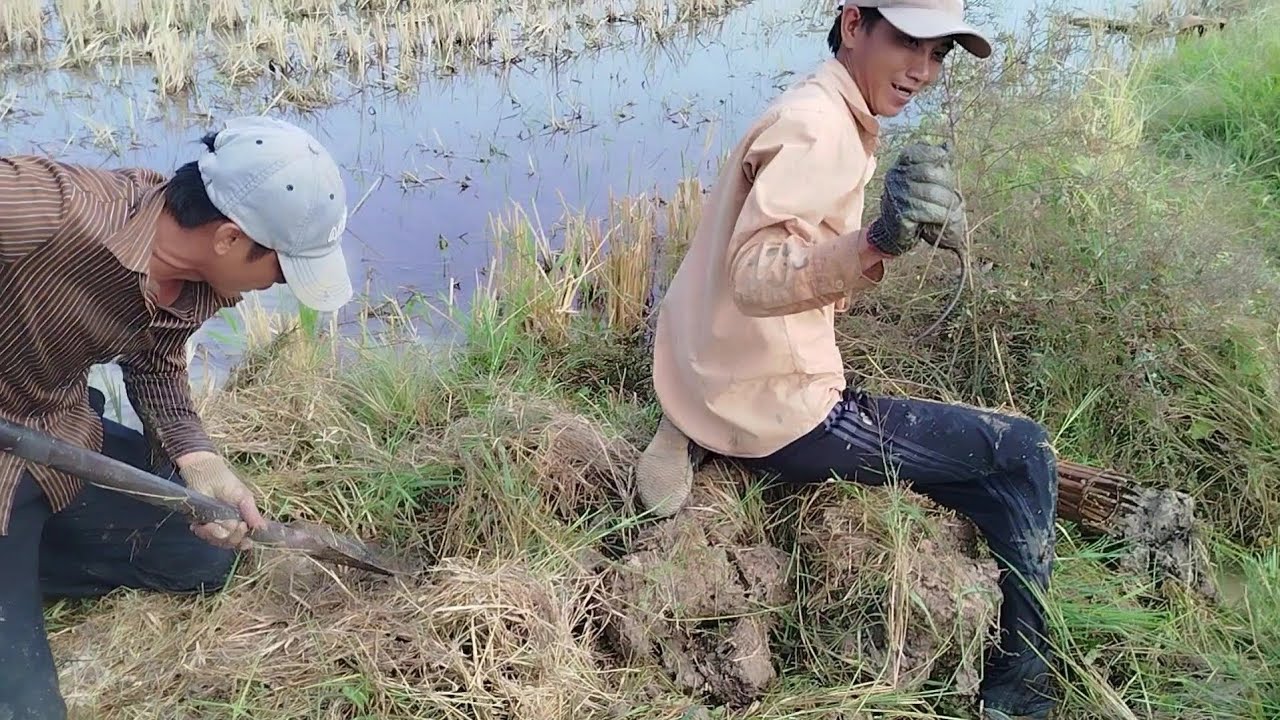 Hôm nay anh em đi săn chuột / TCMT83