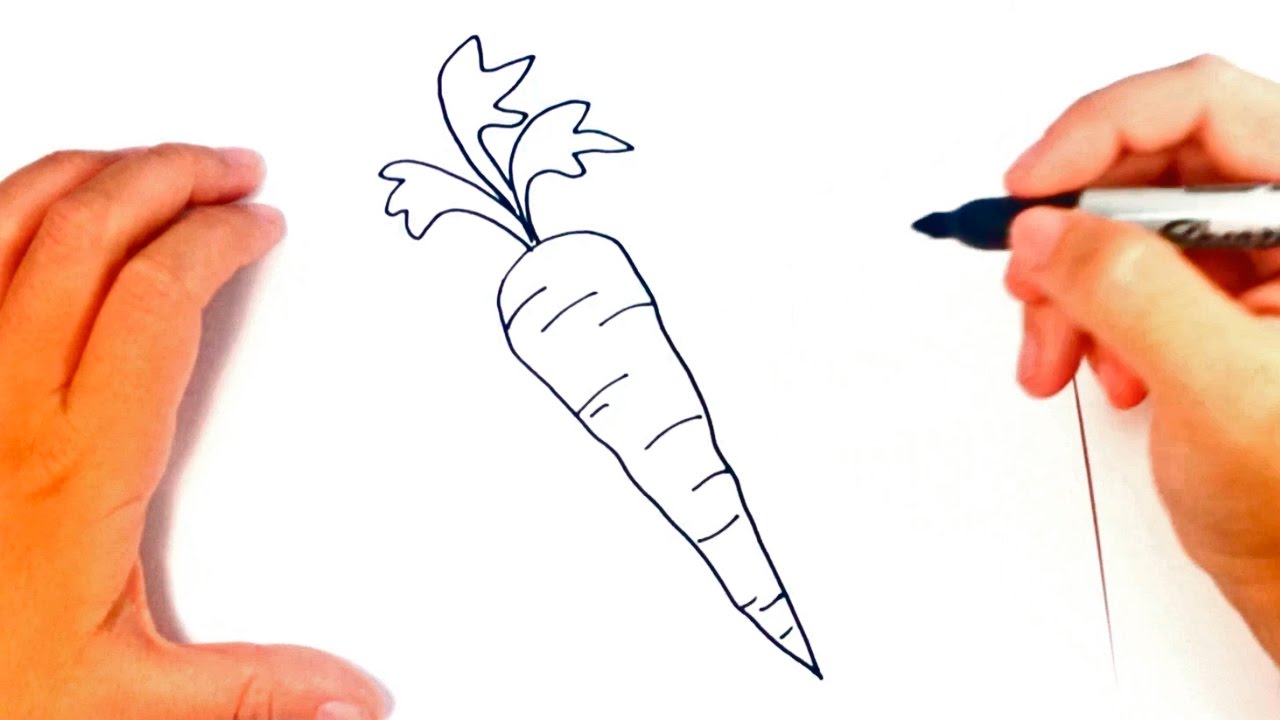 doodle freehand sketch drawing of carrot vegetable. 11651373 PNG