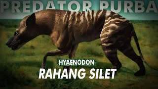 Dijuluki Gigi Hyena Dan Menjadi Apex Predator Yang Sangat Sukses | Hyaenodon