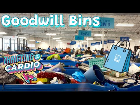 THRIFT WITH ME at the Goodwill Bins .. Shopping For Treasures To Resell ...