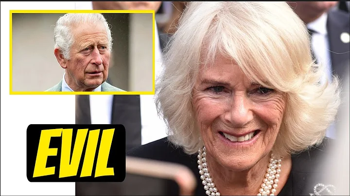 EVIL MOTHER: Prince Harry calls Camilla DANGEROUS and brands her the VILLAIN in explosive interview