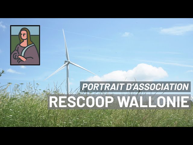 Portrait d'association : REScoop Wallonie