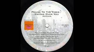 Video thumbnail of "Mr. Fingers - Praise to the Vibes feat. Nicole Wray (Mr. Fingers Alternate Version)"