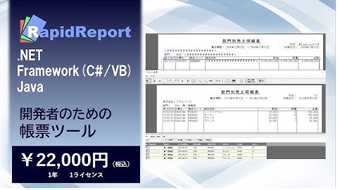 Java　.NETから使える！帳票ツール　RapidReport　1ライセンス￥22,000（税込）！（音声なし）