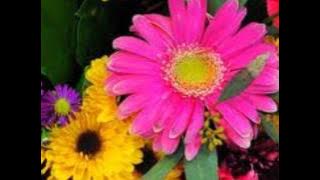 Kassa Admassu ''Shew Beli Bileney -Bilen instrumental music 2012''