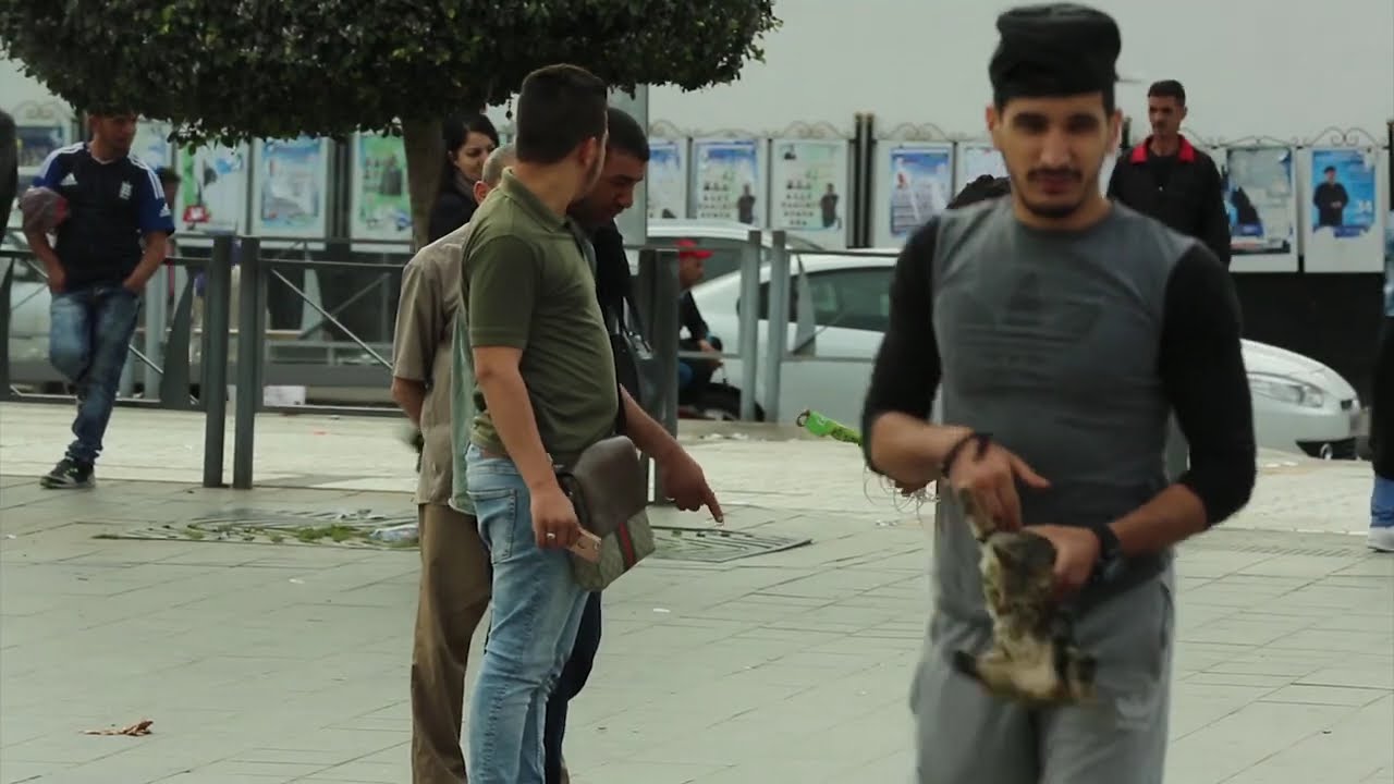 طفل يضرب قطة , Anes Tina L'expérience