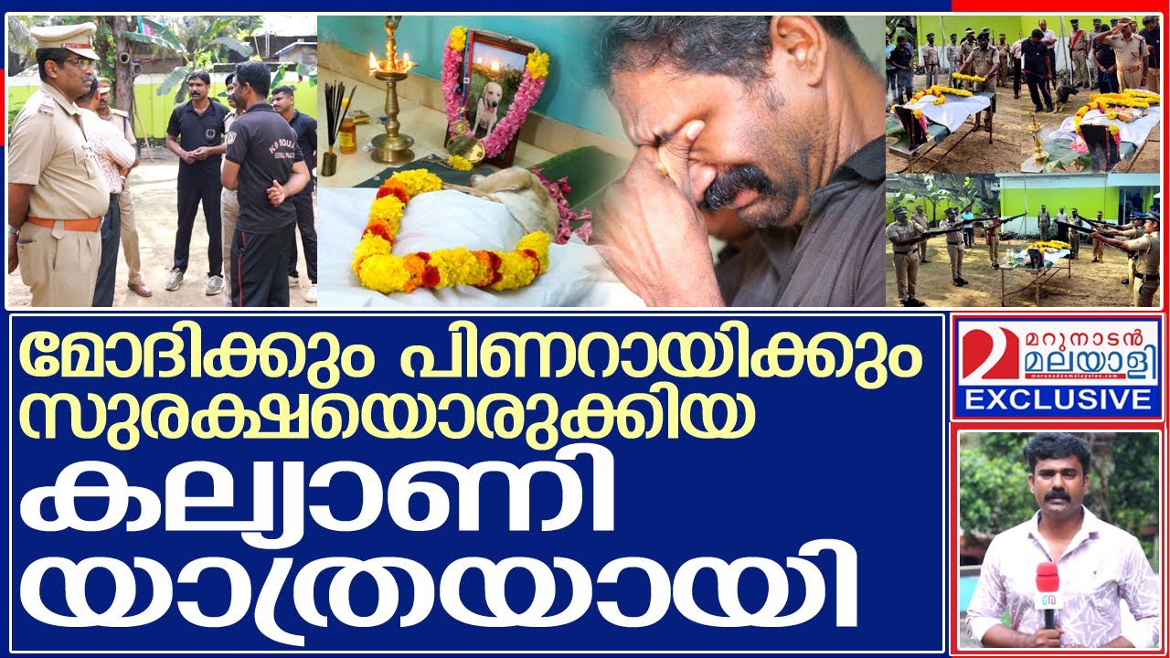 പൊട്ടിക്കരഞ്ഞു പോലീസ്...കല്യാണി യാത്രയായി..! l Kerala Police dog Kalyani