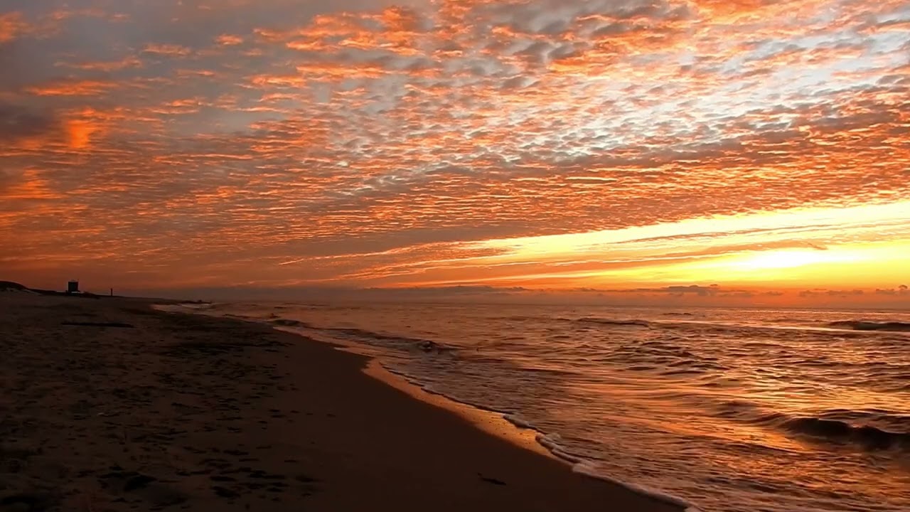 Harmony at Dusk: Jazz Rhythms and Ocean Whispers Under a Sunset Sky