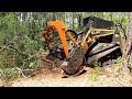 The trees strike back big pine trees almost cause catastrophe