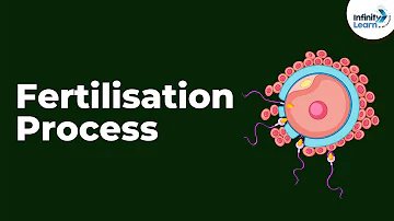 Which animal does not occur internal fertilization?
