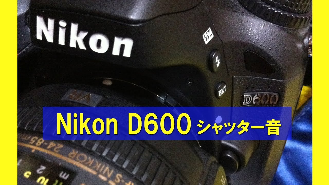 はじめての一眼レフを購入 フルサイズのニコンd600に決めた理由 すけこむブログ