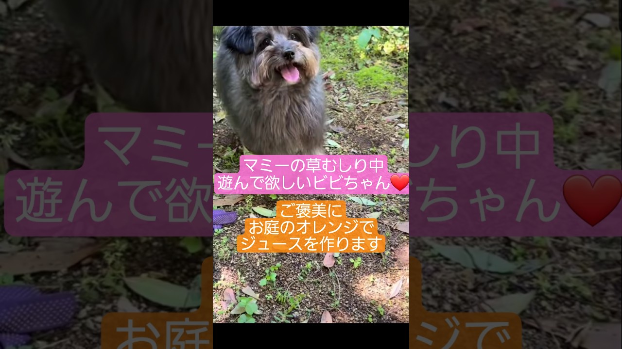 可愛くてほっこり♡ #工藤静香 #木村ファミリー #料理 #木村拓哉