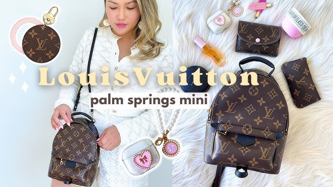 2022 In Review: The Louis Vuitton Palm Springs Mini Backpack — PAGE Magazine