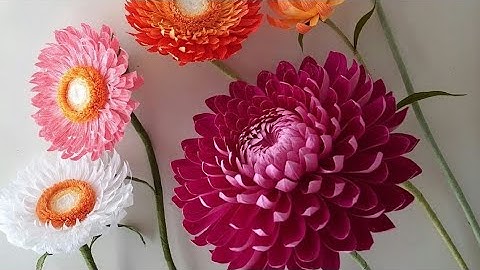 How to make chrysanthemum paper flower ! crepe paper flower ideas ! chrysanthemum paper flower craft