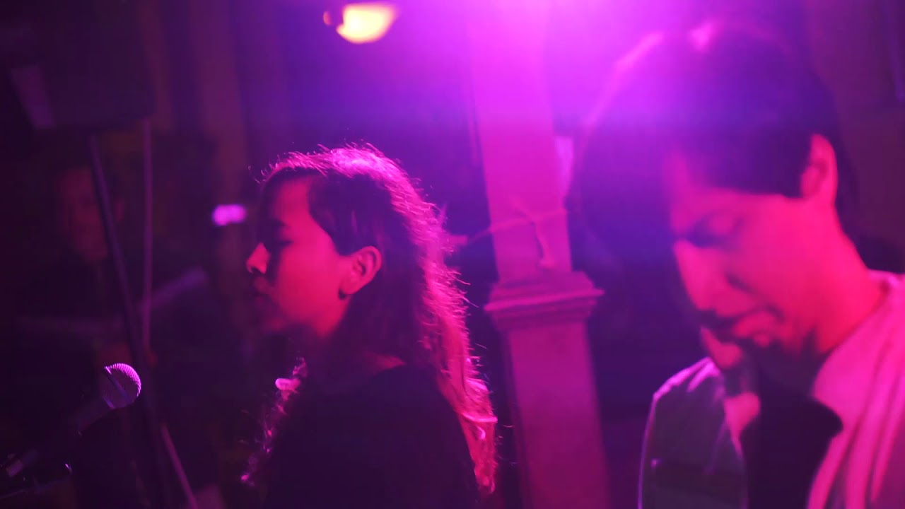 The Animal Cookies Live Film YouTube