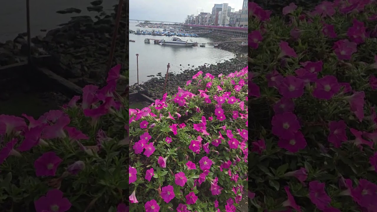 부산 명지^^