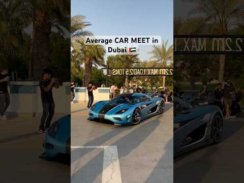 Average Car meet in Dubai 🇦🇪