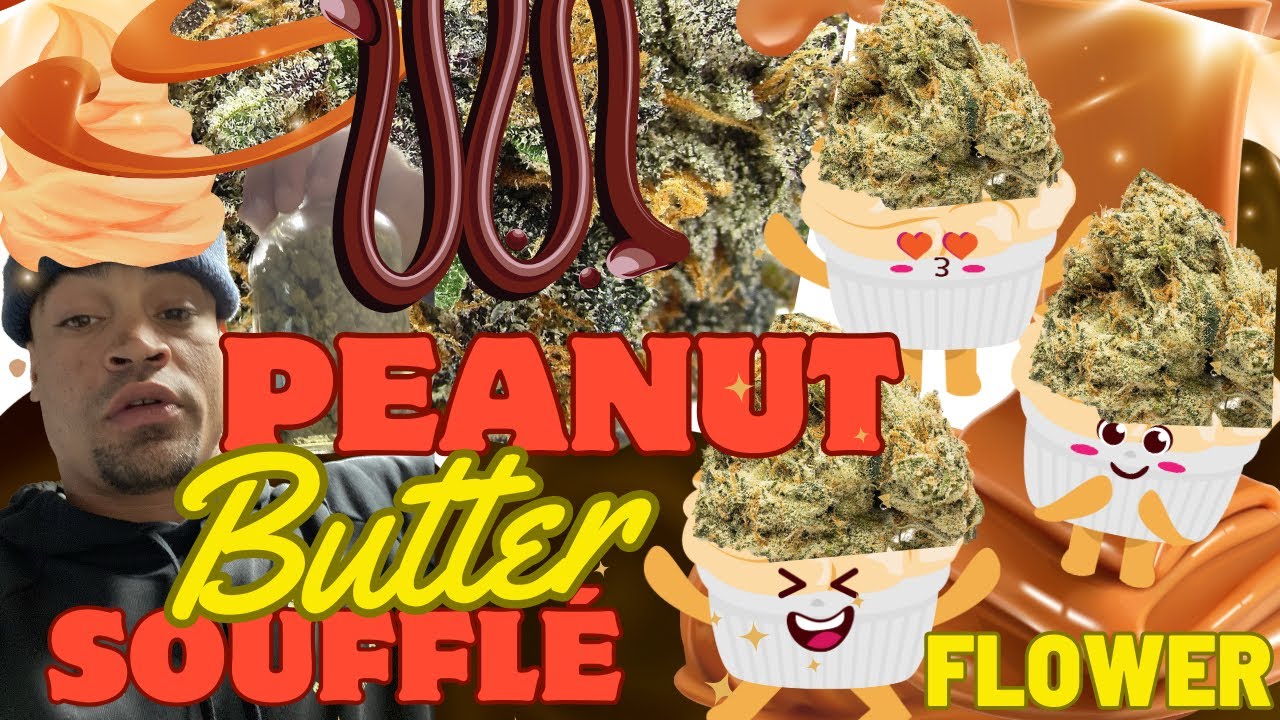Peanut Butter Souffle Strain: Testing At 23%THC! Indica-Dominant Hybrid Madness