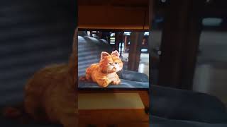 That Time When Garfield Broke The Forth Wall