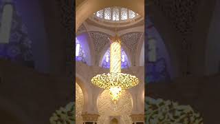 Abu Dhabi #uae #viral #dubai