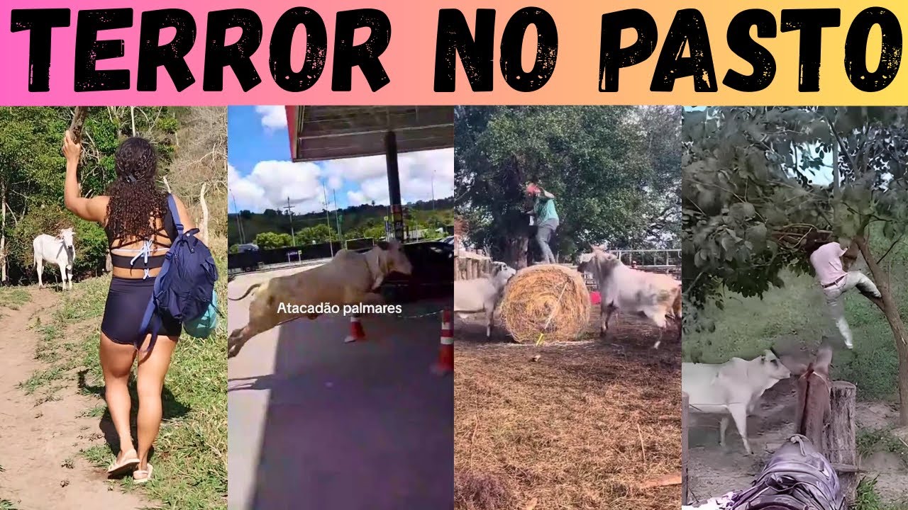 НЕЛОРА есть НЕЛОРА: пахтать корову или ловить быка? Кто...