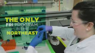 Apply to Binghamton University!
