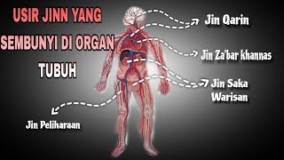 RUQYAH SANGAT KUAT || MEMBAKAR SERTA MENGUSIR JIN/IBLIS YANG MENDIAMI TUBUH