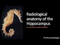 Unforgettable radiological anatomy of the hippocampus