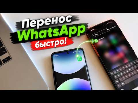 Got a new iPhone? Transfer WhatsApp without resetting.