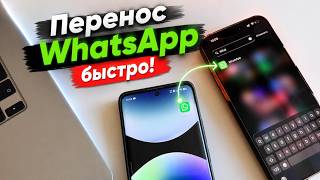 Купил новый iPhone? Перенеси WhatsApp без сброса