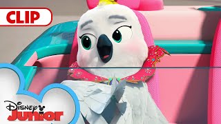 Nadia's Stolen Toy Car 🚙 | SuperKitties | @disneyjunior