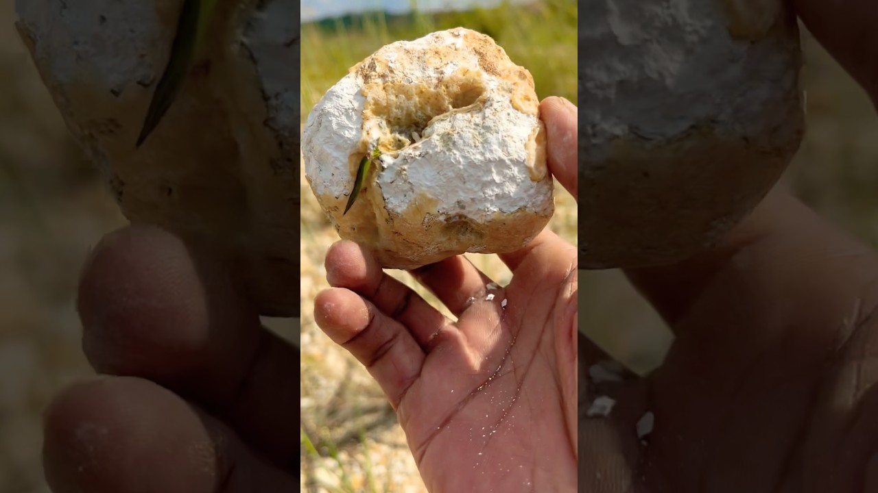 The discovery of chalcedony gemstones in a vast expanse of rock from a former gold mine. 