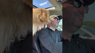 Same Car, Same Kisses, Bigger Dog