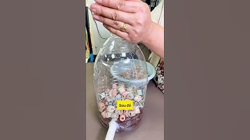 Tự chế một bộ lọc bể cá tiết kiệm ngay trong nhà quá dễ  #aquarium #tuanaquarium #fish #fyp