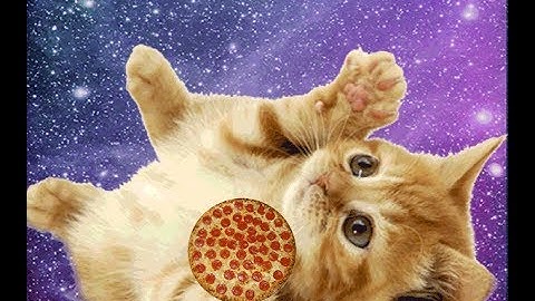 How To make an Animated GIF  from video