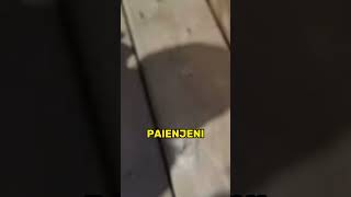 Daca vezi asta pe o banana nu o manca