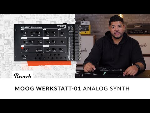 A $199 Moog?! Moog Werkstatt-01 Analog Synth Demo & Build