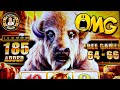 OMG 185 White Heads/66 Spins on Buffalo Chief