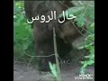 هذا حال العرب ميه بالميه