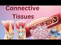 Connective Tissues Quiz