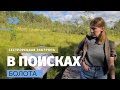 В Поисках Волшебного Болота