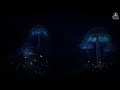 (No Interruption) Fall Asleep Instantly • Melatonin Release, Stop Overthinking • Remove Insomnia Now
